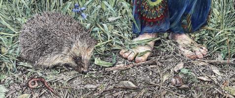 The Way of The Hedgehog